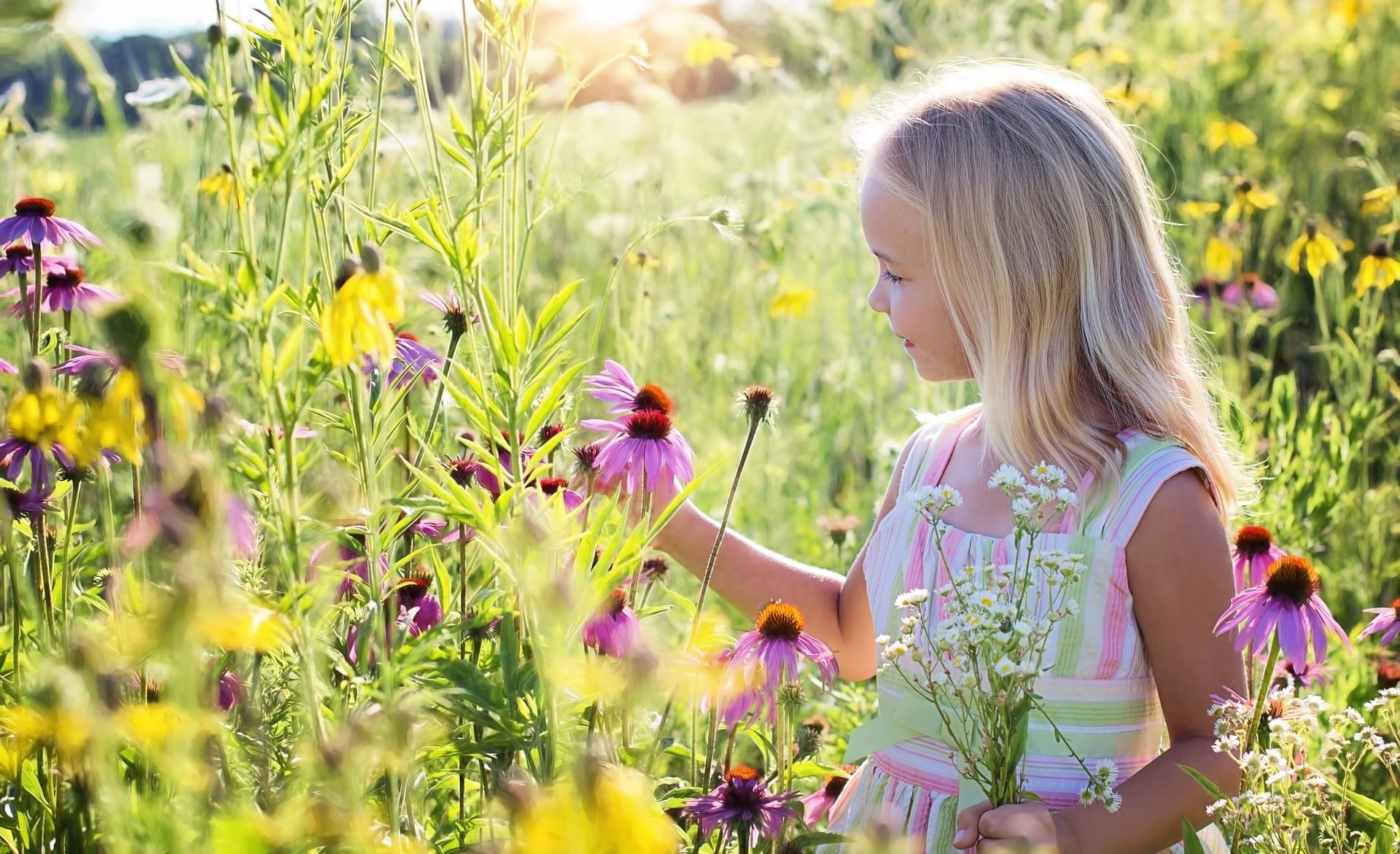 Top2toe4you, natural farming